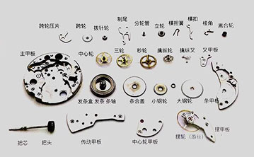 Bracelet Bracelet